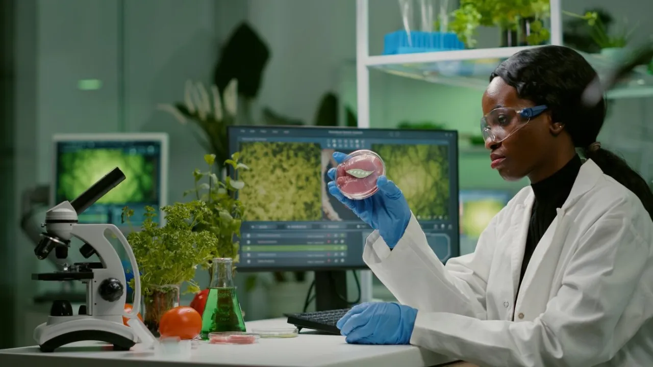 Santé et biotechnologies